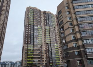 Продается двухкомнатная квартира, 48.3 м2, Мурино, Новая улица, 17к2, ЖК Новое Мурино