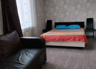 Сдам в аренду 1-ком. квартиру, 30 м2, Челябинск, улица Гагарина, 28