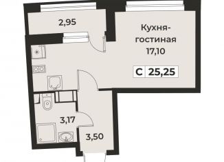 Продается квартира студия, 25.3 м2, Мурино, проспект Авиаторов Балтики, 29к2, ЖК Авиатор