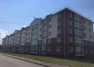 2-ком. квартира в аренду, 49 м2, Чистополь, улица Полющенкова