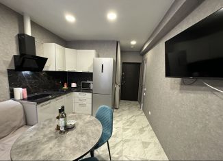 Продажа 1-комнатной квартиры, 28 м2, Сочи, переулок Горького, 24к1, ЖК Сокол