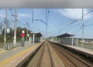 Продаю участок, 6 сот., деревня Чепелёво, улица Берёзовка