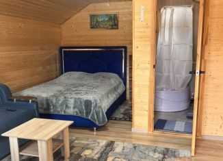 Дом в аренду, 20 м2, Карачаево-Черкесия, улица Курджиева, 39е