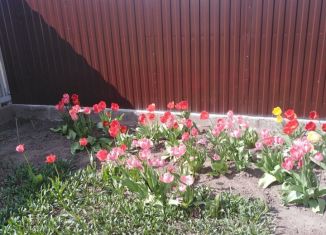 Продаю участок, 16 сот., деревня 2-я Моква