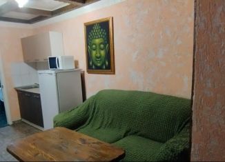 Сдам 2-комнатную квартиру, 40 м2, дачный посёлок Мочище, улица Лесная Поляна, 56