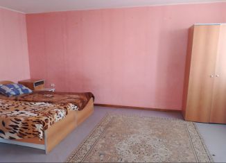 Сдаю в аренду 1-комнатную квартиру, 32 м2, Скопин, улица Пушкина, 87