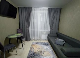 Квартира в аренду студия, 18 м2, Барнаул, проспект Энергетиков, 4
