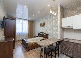 Квартира в аренду студия, 28 м2, Санкт-Петербург, Московский проспект, 183-185Ак3Б, ЖК Граф Орлов