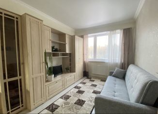 Сдается 1-ком. квартира, 31 м2, деревня Щемилово, улица Орлова, 26