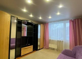 Сдается 1-ком. квартира, 30 м2, Новосибирск, улица Забалуева, 76