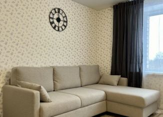 Продается квартира со свободной планировкой, 23 м2, Кохма, улица Кочетовой, 61А