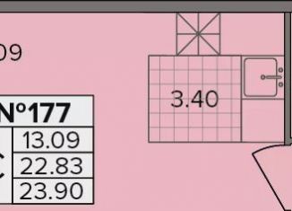 Продается квартира студия, 23.9 м2, деревня Новое Девяткино
