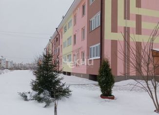 Продается однокомнатная квартира, 32 м2, Нижегородская область, улица Шмагрина