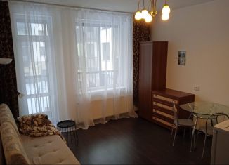 Сдаю квартиру студию, 25 м2, Санкт-Петербург, Новосергиевская улица, 3