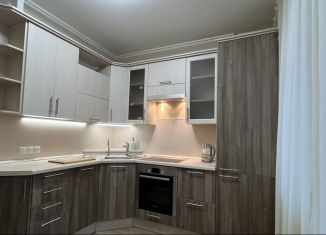 Сдам однокомнатную квартиру, 38 м2, Санкт-Петербург, Ленинский проспект, 53к1, Красносельский район