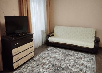 Сдается 1-комнатная квартира, 33.5 м2, Иркутская область, улица Кирова, 92