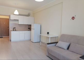 Сдам в аренду квартиру студию, 25 м2, Старая Купавна, улица Чехова, 4