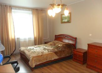 Аренда 1-ком. квартиры, 40 м2, Санкт-Петербург, улица Савушкина, 109к1, метро Старая Деревня