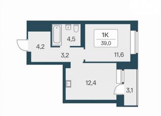 Продам однокомнатную квартиру, 30 м2, Новосибирск, Красный проспект, 167/4, ЖК Расцветай на Красном