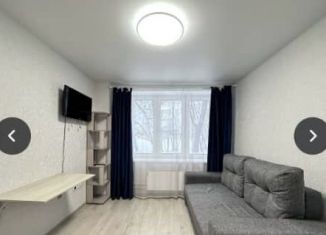 Квартира в аренду студия, 16 м2, Москва, Окская улица, 28к2, район Кузьминки