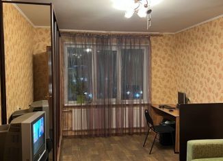 Сдается двухкомнатная квартира, 42.6 м2, Санкт-Петербург, Красносельское шоссе, 54к1, муниципальный округ Горелово