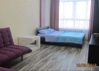 Сдаю в аренду 1-ком. квартиру, 50 м2, Геленджик, Крымская улица, 19к10