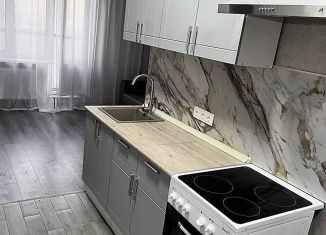 Сдаю в аренду квартиру студию, 25 м2, Ростов-на-Дону, ЖК Пятый Элемент, улица Ткачёва, 38с2