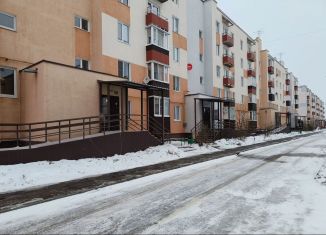 Продажа трехкомнатной квартиры, 61 м2, Пензенская область, улица Сузюмова, 6