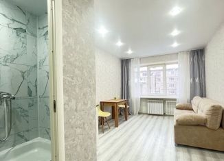 Продается квартира студия, 26 м2, Чувашия, проспект Ленина, 51к1