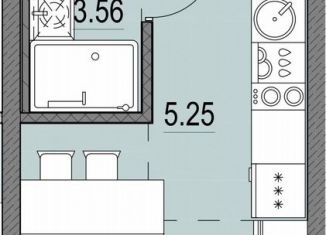 Продается квартира студия, 21.1 м2, Санкт-Петербург, Василеостровский район