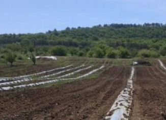 Продаю земельный участок, 50 сот., село Фурмановка, Первомайская улица