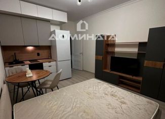 Сдаю в аренду квартиру студию, 22 м2, Санкт-Петербург, Русановская улица, 20к3, Русановская улица