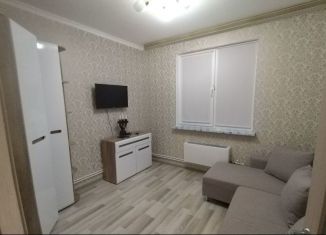 Продается 1-комнатная квартира, 32.8 м2, село Темпы, улица Геологов, 6А