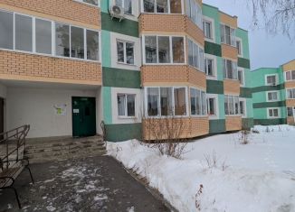 Продаю квартиру студию, 29 м2, Заречный, Олимпийская улица, 3