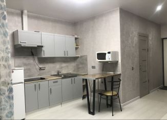 Квартира в аренду студия, 26.5 м2, Пермский край, Теплогорская улица, 24к4