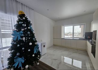 Коттедж на продажу, 117 м2, деревня Старые Киешки, улица Гафури, 19