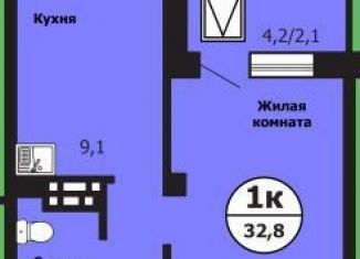 1-ком. квартира на продажу, 32.9 м2, Красноярск, улица Лесников, 51Б