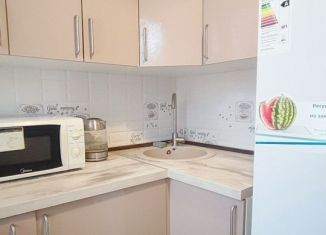 Сдается 1-комнатная квартира, 30 м2, Москва, Чертановская улица, 11к2, метро Чертановская