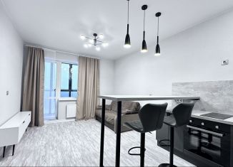 Сдача в аренду квартиры студии, 25 м2, деревня Новое Девяткино, Главная улица, 2