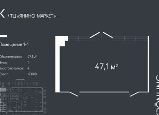 Продается торговая площадь, 47.1 м2, городской посёлок Янино-1, улица Ветряных Мельниц, 3/1