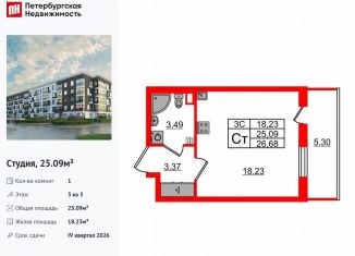 Продажа квартиры студии, 25.1 м2, Санкт-Петербург, метро Звёздная