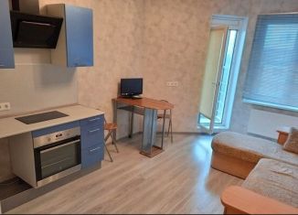 Сдам квартиру студию, 26 м2, Санкт-Петербург, проспект Большевиков, 7к3, метро Проспект Большевиков