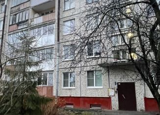 Продаю двухкомнатную квартиру, 46 м2, Санкт-Петербург, Витебский проспект, 33к1, метро Международная