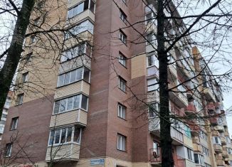 Сдам в аренду двухкомнатную квартиру, 50 м2, Санкт-Петербург, Светлановский проспект, 60к3, муниципальный округ Прометей