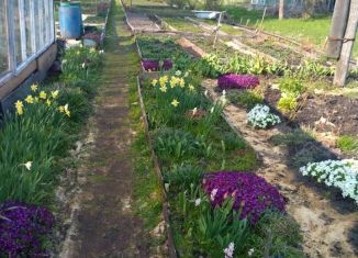 Продам дачу, 16 м2, Сельцо, улица Мейпариани