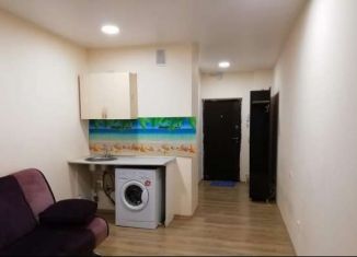 Сдаю квартиру студию, 23 м2, Новосибирская область, Заречная улица, 27