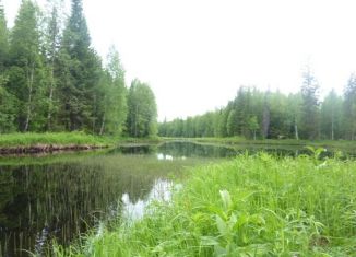 Продажа участка, 15 сот., село Тетеево, Озёрная улица