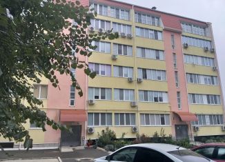 Сдам в аренду 4-комнатную квартиру, 130 м2, село Перово, Пригородная улица, 35