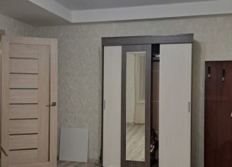 2-комнатная квартира в аренду, 55 м2, Санкт-Петербург, улица Солдата Корзуна, 30, муниципальный округ Ульянка
