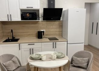 Сдам квартиру студию, 27 м2, Люберцы, улица Лётчика Ларюшина, 6, ЖК Жулебино Парк